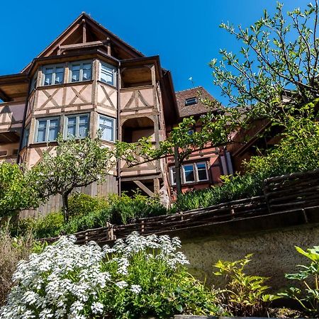 Apartmán Remparts De Riquewihr - Le Petit Loup Exteriér fotografie